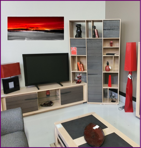 Ensemble meuble TV et bibliothèque - MODELE D'EXPO